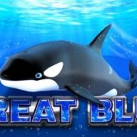 3 Tips untuk menang Great Blue di Mega888 Online Casino Malaysia